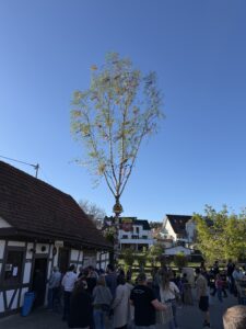 Maibaumschätzen der Feuerwehr Oldtimer